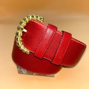Vintage red skin belt by Bottegaveneta Bottega Veneta 2006 S/S Runway Poppy Red Velvet Silver  main image 3